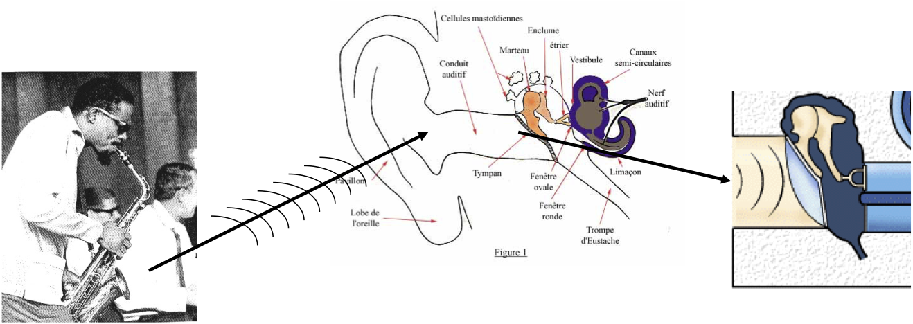 soundfield generated by a periodic sound source